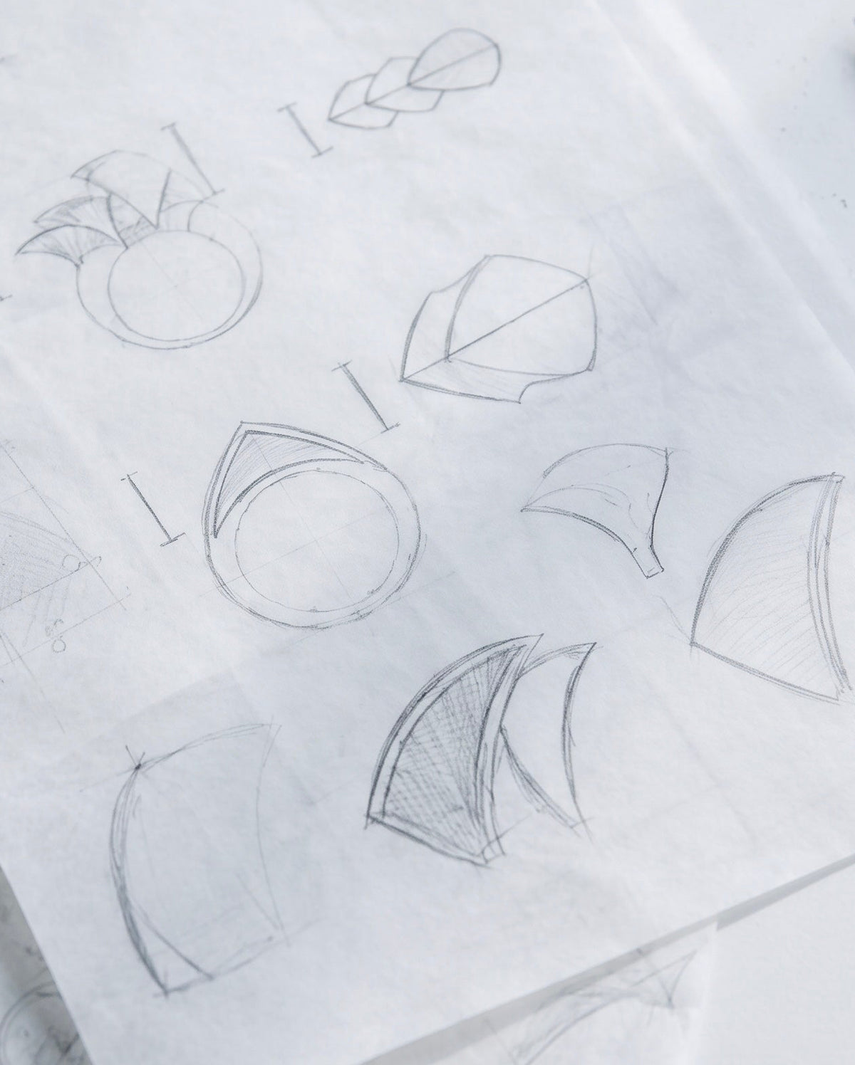 close view of the pencil studies, showing the curved forms being worked out